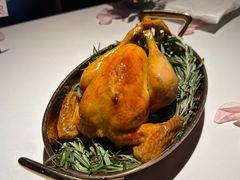 三黄鸡羊肚菌烩饭-Oyster Talks 四度蚝法餐厅