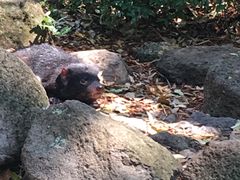 -可伦宾野生动物保护区