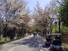 -沈阳植物园