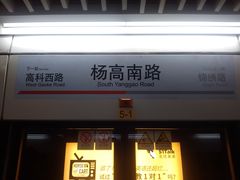 -杨高南路(地铁站)