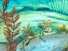 -上海海洋水族馆