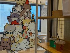 -有喵·猫咖·狗咖·30几只猫10只小狗(岗厦店)