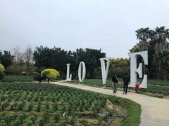 -广东花都香草世界旅游度假区