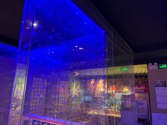 -琴寿司居酒屋(中山广场店)