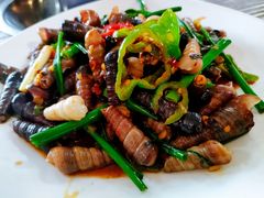 -张家卫·阳江菜·小海鲜(肥婆湾桥店)