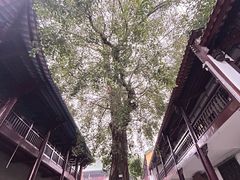 -南华禅寺