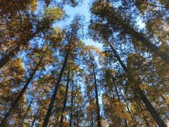 -南京金牛湖风景区