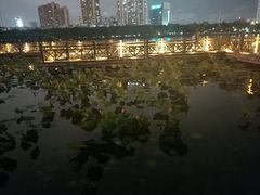 -南宁南湖公园