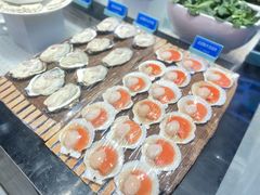 -望海湾海鲜楼·海鲜(开发区店)
