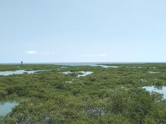 -北海金海湾红树林生态旅游区