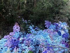 -龙湾潭国家森林公园