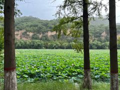 -黄河小浪底水利枢纽风景区
