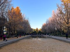 -玲珑塔公园