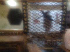 -风波庄(临淄分舵店)