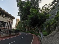 -仙岳公园