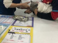-伟伟宠物医院·CT影像中心·瑞派犬猫综合性门诊(汉口总院)