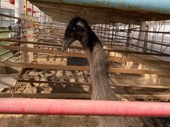 -南宫五洲植物乐园