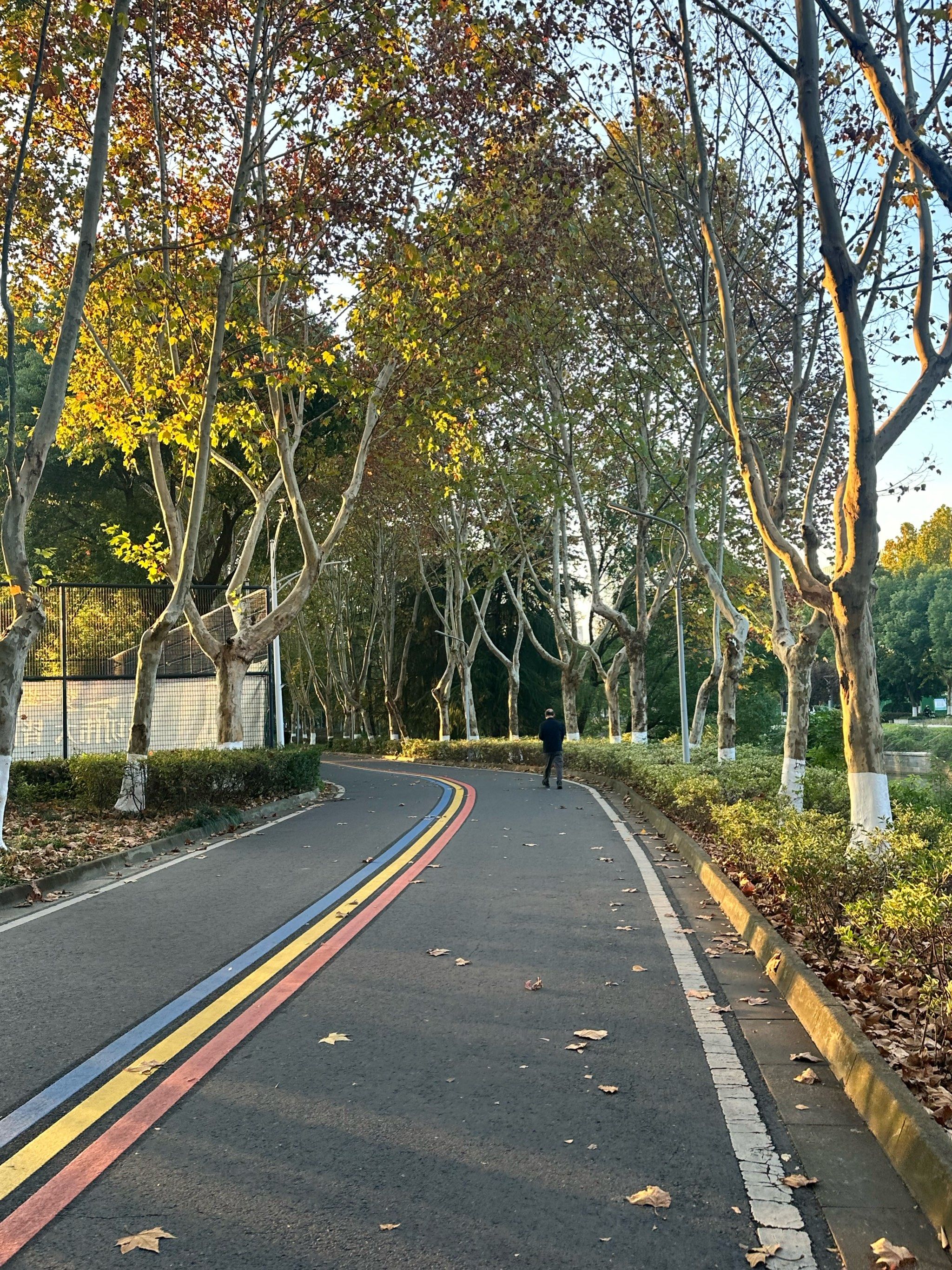奥体中心健康步道