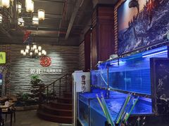 水产区-姜君·千岛湖鱼头馆(浦东大道店)