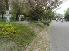 -蠡湖大桥公园