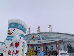 -佳木斯东郊机场