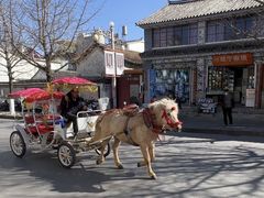 -大理.老字号渝记酸萝卜乌鱼(古城总店)