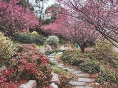 -庐山西海主景区