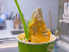 -Salud撒露欧洲冻酸奶(蓝色港湾店)