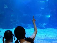 -石家庄海洋公园