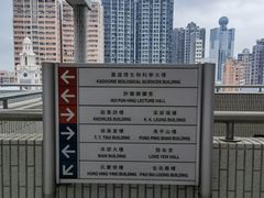 -香港大学