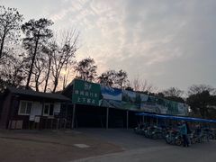 -上海滨江森林公园