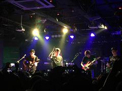 -坚果NUTS