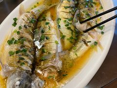 -呼吸森林·生态农庄农家乐私房菜