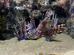 -欢乐海岸海洋奇梦馆