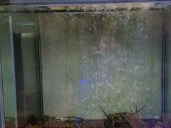 -旅南活海鲜-屏东(墾丁海鮮，海鮮餐廳，墾丁團體合菜，平價熱炒，墾丁熱炒店，活海鮮推薦，在地海鮮餐廳)