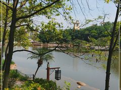 -三水森林公园