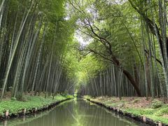 -同里国家湿地公园