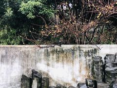 -无锡梅园公园