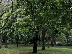 -海口火山口国家地质公园