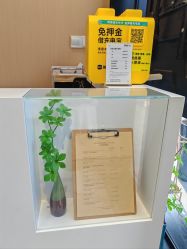 -艾米莉 烫染沙龙