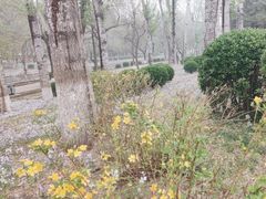 -元大都城垣遗址公园