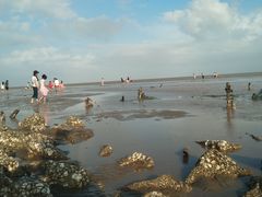 -南汇嘴观海公园