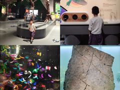 -厦门诚毅自然探索馆