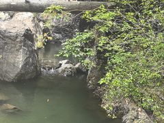 -石台牯牛降景区