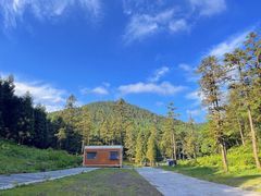 -武陵山森林公园
