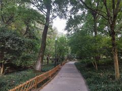 -杭州黄龙洞