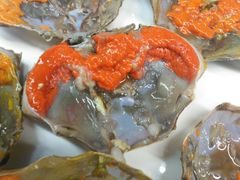 -骏莱海鲜鱼港(五角场店)