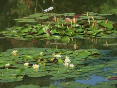 -国家植物园南园