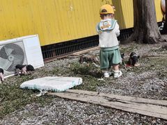 -前小桔亲子创意农场·草莓采摘·露营烧烤