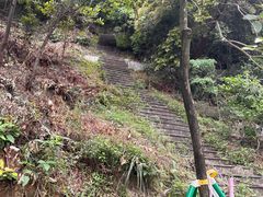 -天鹿湖森林公园